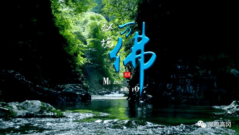 超能动物联盟
